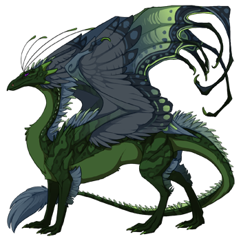 dragon?age=1&body=34&bodygene=6&breed=13&element=7&eyetype=0&gender=0&tert=153&tertgene=8&winggene=16&wings=25&auth=e79a5980002e008859c297db4879c930e06dfb9e&dummyext=prev.png