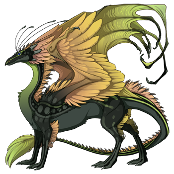 dragon?age=1&body=176&bodygene=15&breed=13&element=4&gender=0&tert=8&tertgene=8&winggene=1&wings=41&auth=ebde5d52193142e593e53b3282ec3f9cf9a8f66d&dummyext=prev.png