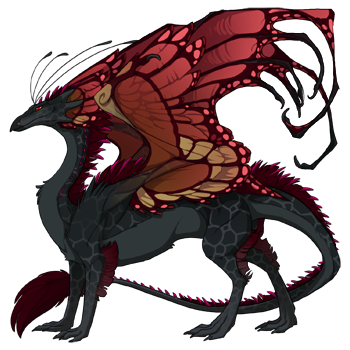 dragon?age=1&body=10&bodygene=12&breed=13&element=2&gender=0&tert=160&tertgene=8&winggene=13&wings=87&auth=ec011eb6e380b5d779c54bf9b29183d197671bae&dummyext=prev.png