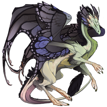 dragon?age=1&body=5&bodygene=1&breed=13&element=3&gender=1&tert=163&tertgene=14&winggene=13&wings=177&auth=ef67447c2c357c621c3f336660e0a33a26c07979&dummyext=prev.png