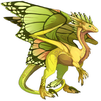 dragon?age=1&body=42&bodygene=1&breed=10&element=10&eyetype=0&gender=1&tert=104&tertgene=14&winggene=13&wings=155&auth=f1bc6f71aeccbc93f2f52f0b99d571bf814d3647&dummyext=prev.png