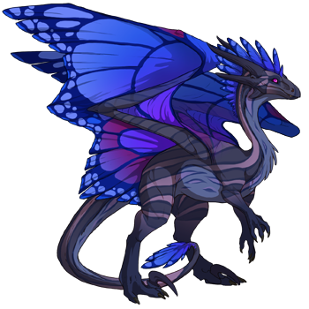 dragon?age=1&body=54&bodygene=22&breed=10&element=9&eyetype=2&gender=1&tert=90&tertgene=12&winggene=13&wings=90&auth=f5ce820c45847e693a66c559e11adc84dba27b01&dummyext=prev.png