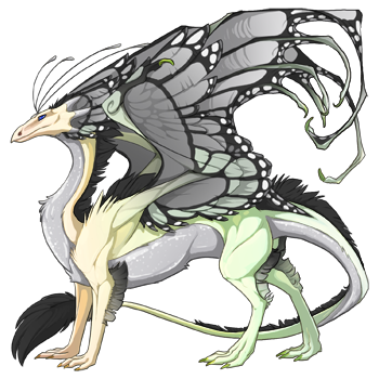 dragon?age=1&body=1&bodygene=1&breed=13&element=4&gender=0&tert=5&tertgene=10&winggene=13&wings=5&auth=9d215915a7e9f1963eeb3d6b8f7bc073bb30b563&dummyext=prev.png