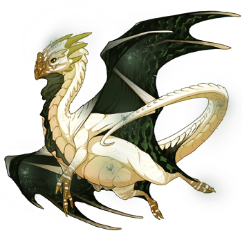 dragon?age=1&body=1&bodygene=21&breed=11&element=10&eyetype=2&gender=0&tert=36&tertgene=22&winggene=11&wings=81&auth=6fdfbe07c591f05b257e1e564f97b68f1706b28d&dummyext=prev.png