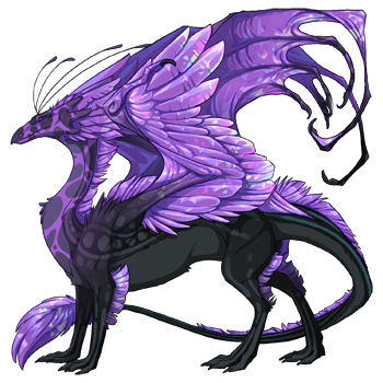 dragon?age=1&body=10&bodygene=15&breed=13&element=7&gender=0&tert=16&tertgene=19&winggene=8&wings=16&auth=25ac00ea944d32d5116be2de568da9606fbc01ab&dummyext=prev.png