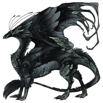 dragon?age=1&body=10&bodygene=20&breed=13&element=8&gender=0&tert=10&tertgene=17&winggene=20&wings=10&auth=13c1d14d7cd6da0de09902aaf385e292bff0f0e7&dummyext=prev.png