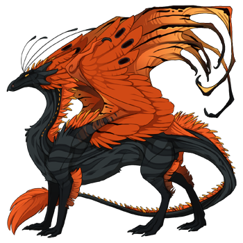 dragon?age=1&body=10&bodygene=22&breed=13&element=11&eyetype=0&gender=0&tert=46&tertgene=8&winggene=24&wings=48&auth=54d7c749f92cd589fc4f0938657580cd6fd8273c&dummyext=prev.png