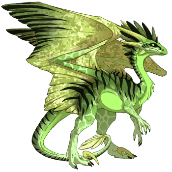 dragon?age=1&body=101&bodygene=12&breed=10&element=8&gender=1&tert=81&tertgene=11&winggene=4&wings=102&auth=d902911e005eee992425b28dd94c295159f9ead5&dummyext=prev.png