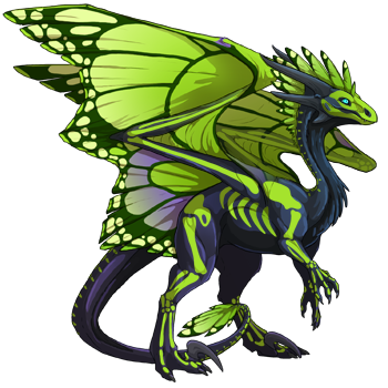 dragon?age=1&body=11&bodygene=1&breed=10&element=5&gender=1&tert=39&tertgene=20&winggene=13&wings=39&auth=7e3b1125cbd96a5ae107b711c08d7ce59f048c12&dummyext=prev.png