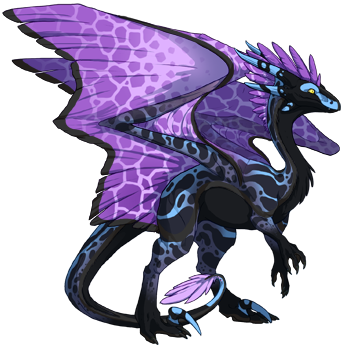 dragon?age=1&body=11&bodygene=11&breed=10&element=8&gender=1&tert=9&tertgene=13&winggene=14&wings=16&auth=b28364401b273c9bc1028073fa89a1c8df08791b&dummyext=prev.png