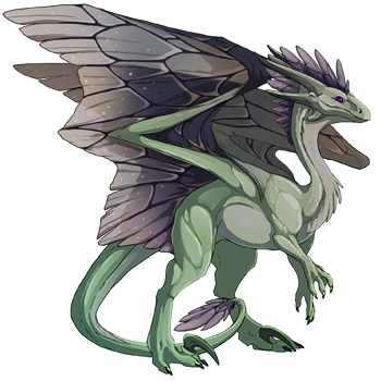 dragon?age=1&body=113&bodygene=1&breed=10&element=7&gender=1&tert=17&tertgene=12&winggene=20&wings=36&auth=23cba048fd8fd8ab98740100810fcff187e33d49&dummyext=prev.png