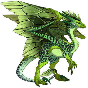 dragon?age=1&body=113&bodygene=19&breed=10&element=8&gender=1&tert=39&tertgene=15&winggene=20&wings=37&auth=38aeb40c215943a896c858dca808c9cf4df5a561&dummyext=prev.png