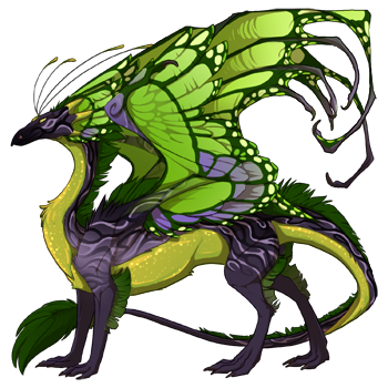 dragon?age=1&body=12&bodygene=14&breed=13&element=8&gender=0&tert=40&tertgene=10&winggene=13&wings=39&auth=d3baa8c158b9112192a5f67964dbad915ca631fc&dummyext=prev.png