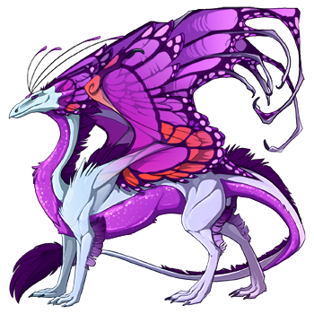 dragon?age=1&body=131&bodygene=1&breed=13&element=7&eyetype=0&gender=0&tert=69&tertgene=10&winggene=13&wings=69&auth=9cec5ad9f3ae8c3e8855b2bb1e9262be14f31744&dummyext=prev.png