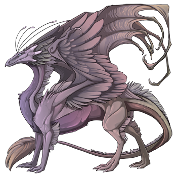 dragon?age=1&body=14&bodygene=1&breed=13&element=6&gender=0&tert=14&tertgene=0&winggene=1&wings=14&auth=68204fe55de4a67fc748cfb93c675399dc9af879&dummyext=prev.png