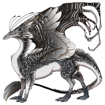 dragon?age=1&body=146&bodygene=19&breed=13&element=3&eyetype=0&gender=0&tert=129&tertgene=14&winggene=21&wings=9&auth=4a5d6ea3b68f0e42609c09c0262c5a0fb56f7e29&dummyext=prev.png