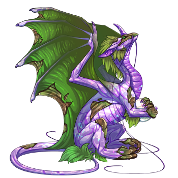 dragon?age=1&body=15&bodygene=7&breed=4&element=10&gender=1&tert=54&tertgene=17&winggene=1&wings=37&auth=aff3c83c70b78ae30791f779f8fc3135b2243623&dummyext=prev.png