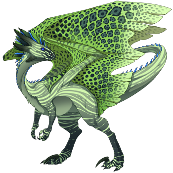 dragon?age=1&body=153&bodygene=21&breed=10&element=4&gender=0&tert=148&tertgene=8&winggene=19&wings=101&auth=075c997b6d1285754bffec7367ea23408d00cf75&dummyext=prev.png