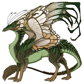 dragon?age=1&body=154&bodygene=19&breed=13&element=10&gender=0&tert=34&tertgene=11&winggene=13&wings=97&auth=65852430421c99f558db04241344b7f0e1e49f02&dummyext=prev.png