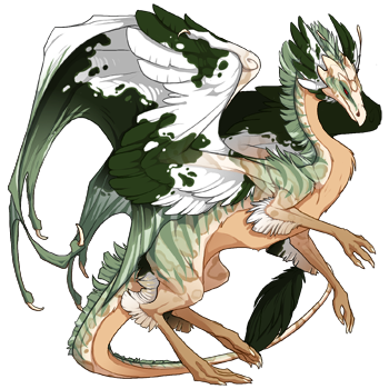 dragon?age=1&body=163&bodygene=6&breed=13&element=2&gender=1&tert=153&tertgene=11&winggene=10&wings=81&auth=69d30bf10c315eb9760f2193dfa474f15bc31849&dummyext=prev.png