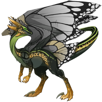 dragon?age=1&body=176&bodygene=15&breed=10&element=10&gender=0&tert=45&tertgene=14&winggene=13&wings=6&auth=f0ec1755bf39f4e34fe28dd1eeca4402ea9d719a&dummyext=prev.png