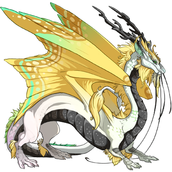 dragon?age=1&body=2&bodygene=1&breed=8&element=10&gender=0&tert=9&tertgene=10&winggene=16&wings=43&auth=6126dc0479a841074b64765d31d76b3dab97e1b2&dummyext=prev.png