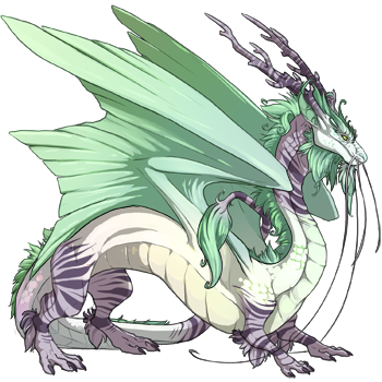 dragon?age=1&body=2&bodygene=1&breed=8&element=3&gender=0&tert=4&tertgene=9&winggene=1&wings=31&auth=7b867e02e4fe66b3ab990680f52bec9edbbd761f&dummyext=prev.png