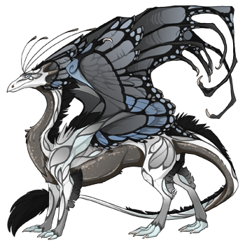 dragon?age=1&body=2&bodygene=13&breed=13&element=6&gender=0&tert=8&tertgene=10&winggene=13&wings=7&auth=50509a0b626ff0bcc65792995bf2f801cc4c777b&dummyext=prev.png