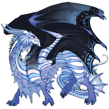 dragon?age=1&body=3&bodygene=22&breed=2&element=9&gender=1&tert=34&tertgene=8&winggene=16&wings=11&auth=cb36cd78e36a96fcd812d714a6c77391aae7942f&dummyext=prev.png