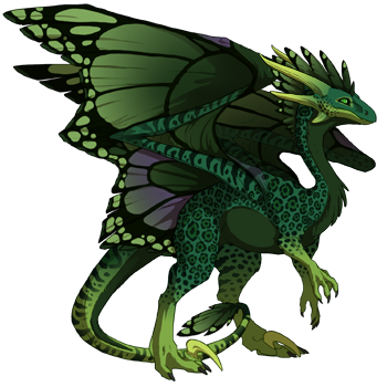 dragon?age=1&body=33&bodygene=19&breed=10&element=10&gender=1&tert=34&tertgene=5&winggene=13&wings=34&auth=5bde24ee893842a50f30f780cb510b8147623591&dummyext=prev.png