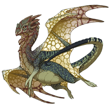 dragon?age=1&body=36&bodygene=19&breed=11&element=1&gender=0&tert=162&tertgene=19&winggene=14&wings=1&auth=6cdbe791e06c9a1cf4ce4feb187a0510bee0c19b&dummyext=prev.png