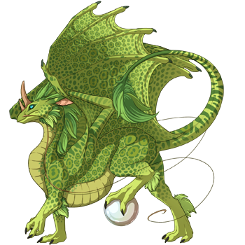 dragon?age=1&body=40&bodygene=19&breed=4&element=5&eyetype=0&gender=0&tert=79&tertgene=12&winggene=19&wings=40&auth=2f407c3df67a679fa26f43d1713314c377e79224&dummyext=prev.png