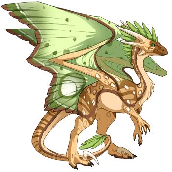 dragon?age=1&body=44&bodygene=3&breed=10&element=10&gender=1&tert=55&tertgene=13&winggene=3&wings=144&auth=4b09a200d1cb924977afa40986d3258dc2de83e0&dummyext=prev.png