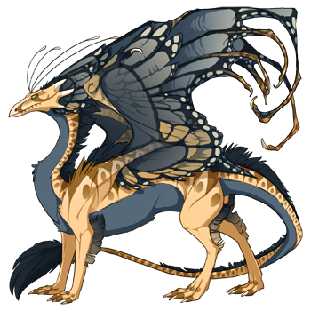 dragon?age=1&body=44&bodygene=8&breed=13&element=3&gender=0&tert=25&tertgene=5&winggene=13&wings=25&auth=54794984dc4f54280f097649692116b8ec9d3c7d&dummyext=prev.png