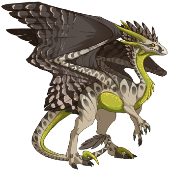 dragon?age=1&body=51&bodygene=8&breed=10&element=11&gender=1&tert=40&tertgene=10&winggene=11&wings=53&auth=89abb7d8e2eec44d0c6f6ec2ec33a6aa031e27a6&dummyext=prev.png