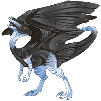 dragon?age=1&body=9&bodygene=17&breed=10&element=11&gender=0&tert=3&tertgene=9&winggene=17&wings=9&auth=4c127574353549bf1e42994c8f3d0f36d47d3f36&dummyext=prev.png