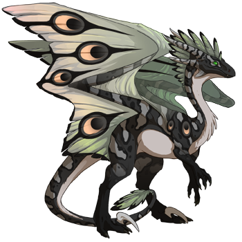 dragon?age=1&body=9&bodygene=6&breed=10&element=10&eyetype=0&gender=1&tert=8&tertgene=24&winggene=1&wings=5&auth=d7ca4add86704e2dc725f8752c3dc44020d9bc5c&dummyext=prev.png