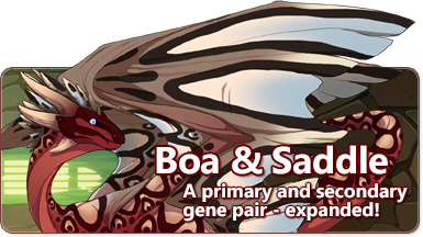 Boa & Saddle: A primary and secondary gene pair - expanded!