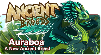 Ancient Breeds: Auraboa Dragons Dragons