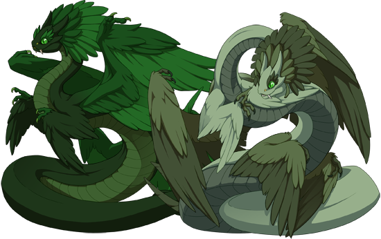 Auraboa Dragons