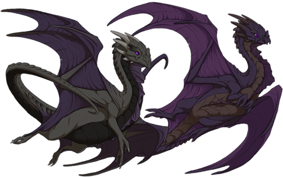 A male and female pair of Nocturne dragons.