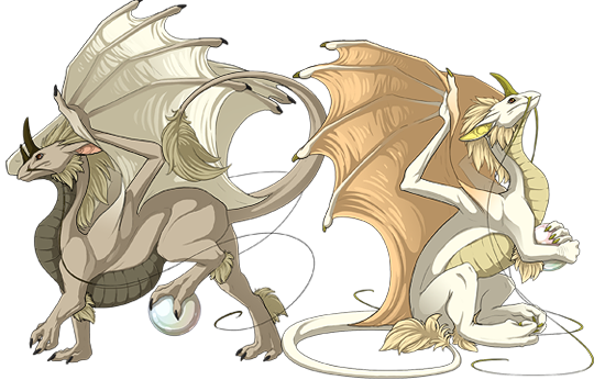 Pearlcatcher Dragons