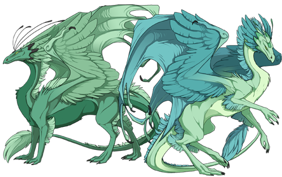 Skydancer Dragons