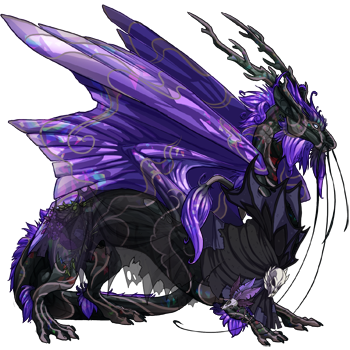 Purple and Black Dragons! | Dragon Share | Flight Rising