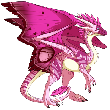 Magenta! | Dragon Share | Flight Rising